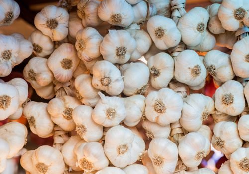 Garlic-2