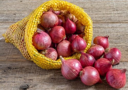 Onion