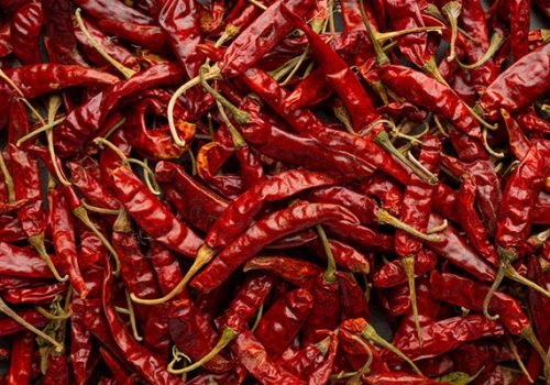 Red-Chilli